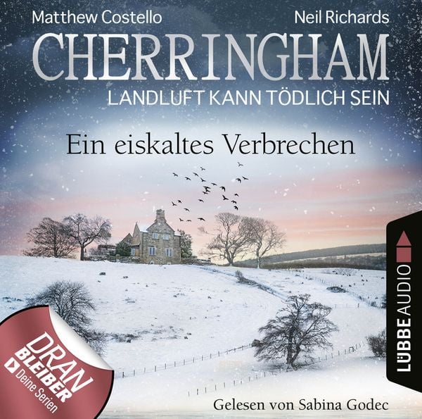 Ein eiskaltes Verbrechen - Matthew Costello , Neil Richards, Download, 9783838797885