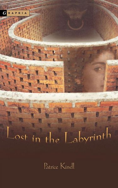 Produktbild: Lost in the Labyrinth