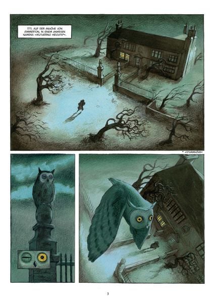 Produktbild: Sturmh&ouml;he (Graphic Novel)