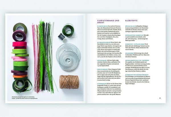 Produktbild: Zimmerpflanzen aus der Papierwerkstatt