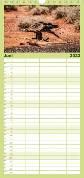 Produktbild: Outback Life - Australien - Familienplaner hoch (Wandkalender 2022 , 21 cm x 45 cm, hoch)