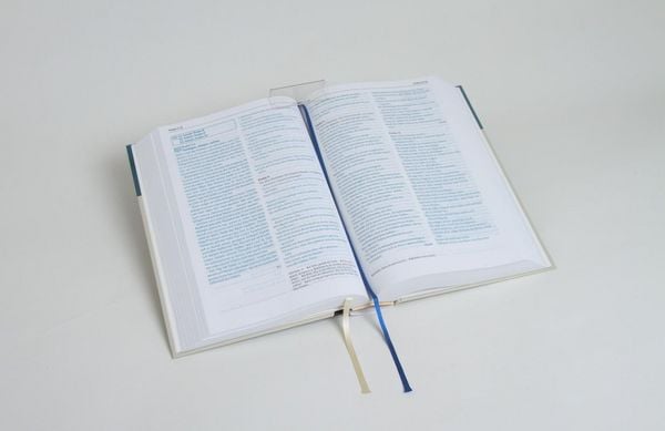 Produktbild: Neues Leben. Die Bibel zum Beten