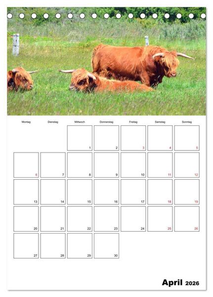 Produktbild: Langeoog - eine Trauminsel (Tischkalender 2026 DIN A5 hoch), CALVENDO Monatskalender