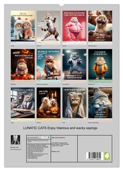 Produktbild: LUNATIC CATS Enjoy hilarious and wacky sayings (High Quality Premium Wall Calendar 2026 DIN A2 portrait),CALVENDO 12 Month Wall Calendar