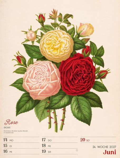 Produktbild: Ars Floralis Wochenplaner Kalender 2027