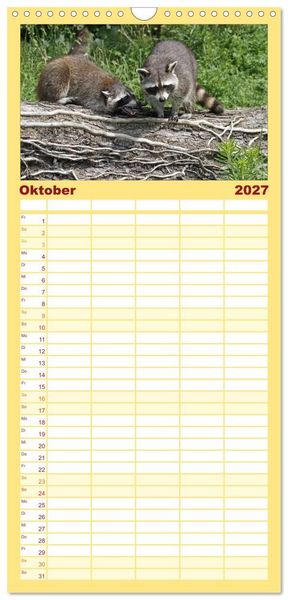 Produktbild: Familienplaner 2027 - Waschb&auml;ren mit 5 Spalten (Wandkalender, 21 x 45 cm) CALVENDO