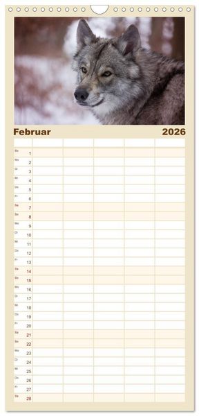 Produktbild: Familienplaner 2026 - Wolfshunde 2026 mit 5 Spalten (Wandkalender, 21 x 45 cm) CALVENDO