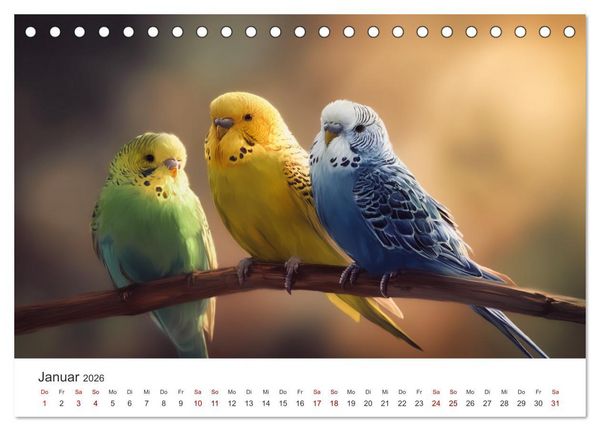 Produktbild: Zwitscherzeit - Ein Kalender voller Wellensittiche (Tischkalender 2026 DIN A5 quer), CALVENDO Monatskalender