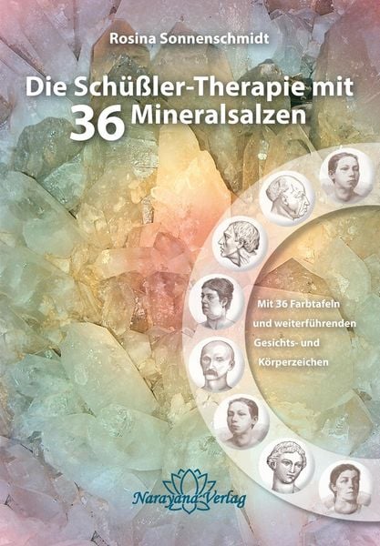 Produktbild: Die Sch&uuml;&szlig;ler-Therapie mit 36 Mineralsalzen