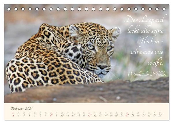 Produktbild: AFRIKA mit einem Hauch von Poesie (Tischkalender 2026 DIN A5 quer), CALVENDO Monatskalender