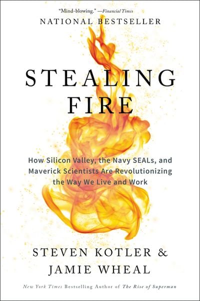 Produktbild: Stealing Fire