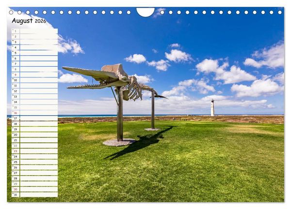 Produktbild: FUERTEVENTURA Geburtstagskalender mit Planerfunktion (Wandkalender 2026 DIN A4 quer), CALVENDO Monatskalender