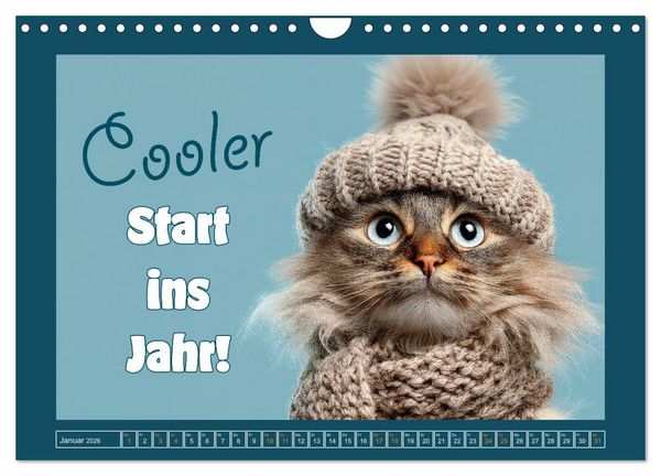 Produktbild: Katzenhumor - Ein Jahr voller Flauschalarm (Wandkalender 2026 DIN A4 quer), CALVENDO Monatskalender