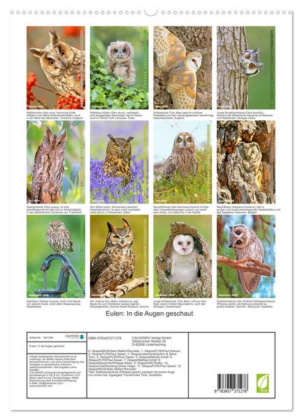 Produktbild: Eulen: In die Augen geschaut (hochwertiger Premium Wandkalender 2026 DIN A2 hoch), Kunstdruck in Hochglanz