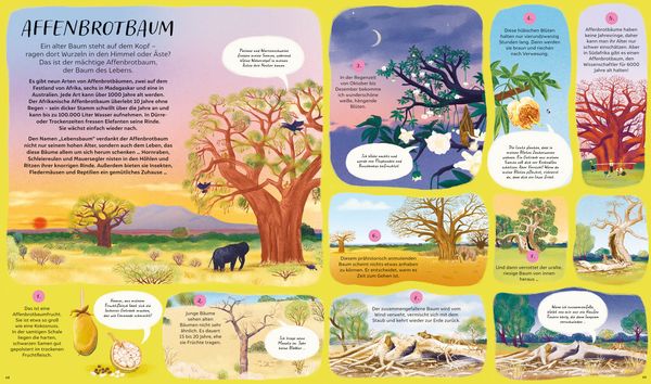 Produktbild: Der Lauf der Natur