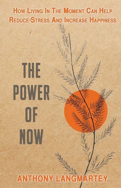 Produktbild: The Power of Now