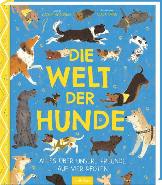 Produktbild: Die Welt der Hunde