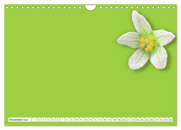 Produktbild: DIY POESIE - BASTELKALENDER (Wandkalender 2026 DIN A4 quer), CALVENDO Monatskalender