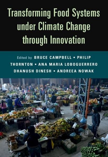 Produktbild: Transforming Food Systems Under Climate Change through Innovation