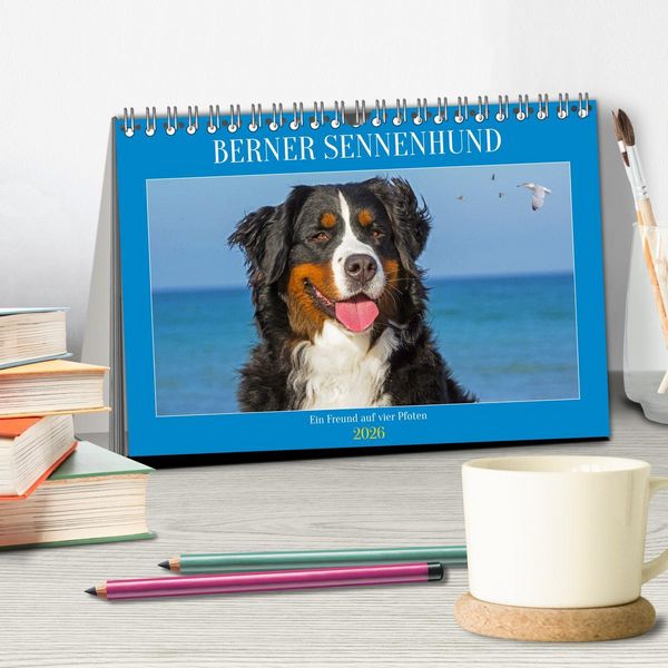 Produktbild: Berner Sennenhund - Ein Freund auf vier Pfoten (Tischkalender 2026 DIN A5 quer), CALVENDO Monatskalender