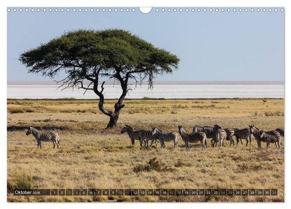Produktbild: Wildes Namibia (Wandkalender 2026 DIN A3 quer), CALVENDO Monatskalender