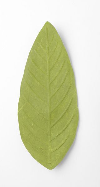 Produktbild: Flexible Hanji-Papierschale Blatt Gr&uuml;n &ndash; Ablage / Servierschale aus koreanischem Hanji-