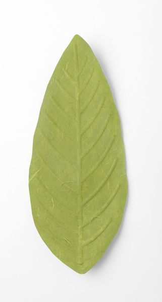 Produktbild: Flexible Hanji-Papierschale Blatt Gr&uuml;n &ndash; Ablage / Servierschale aus traditionellem Hanji-
