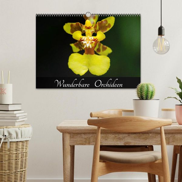 Produktbild: Wunderbare Orchideen (Wandkalender 2026 DIN A3 quer), CALVENDO Monatskalender