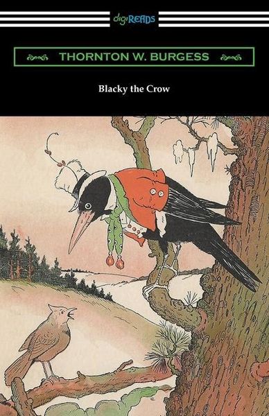 Produktbild: Blacky the Crow