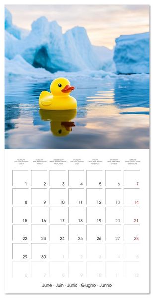 Produktbild: Yellow Travelers (Wall Calendar 2026 12 &times; 12 Inch) CALVENDO 12 Month Wall Calendar