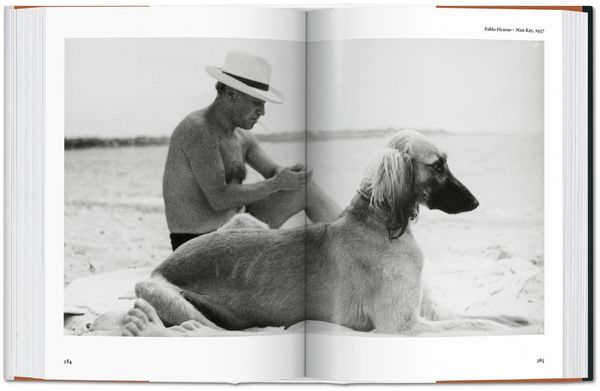 Produktbild: The Dog in Photography 1839&ndash;Today