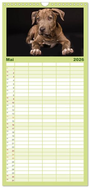 Produktbild: Familienplaner 2026 - American Staff und Co. mit 5 Spalten (Wandkalender, 21 x 45 cm) CALVENDO