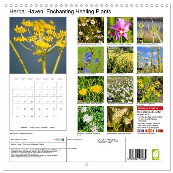 Produktbild: Herbal Haven. Enchanting Healing Plants (Wall Calendar 2026 12 &times; 12 Inch) CALVENDO 12 Month Wall Calendar