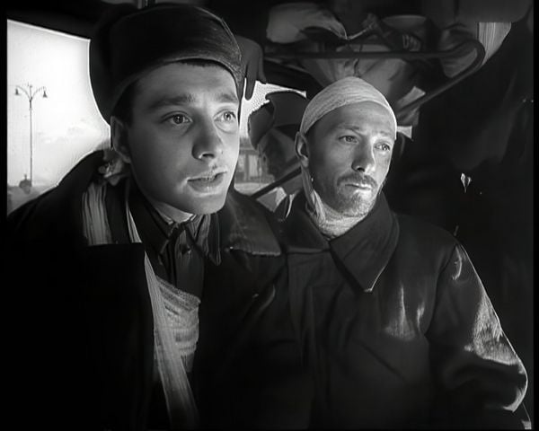 Produktbild: Wenn die Kraniche ziehen - Special Restored Edition (DEFA Filmjuwelen)