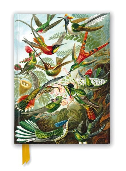 Produktbild: Premium Notizbuch DIN A5: Ernst Haeckel, Kolibris