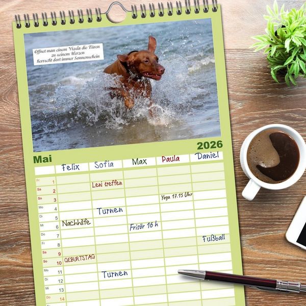 Produktbild: Familienplaner 2026 - Magyar Vizsla - Zauberhafte Kobolde mit 5 Spalten (Wandkalender, 21 x 45 cm) CALVENDO
