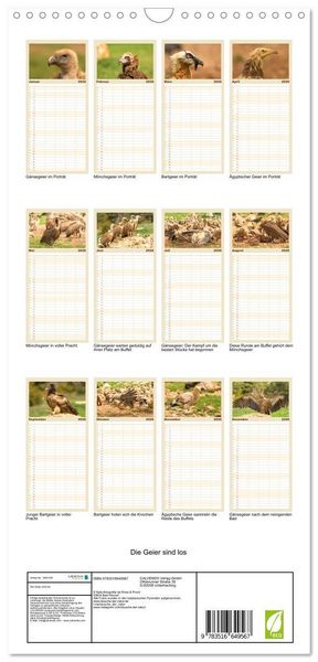 Produktbild: Familienplaner 2026 - Die Geier sind los mit 5 Spalten (Wandkalender, 21 x 45 cm) CALVENDO