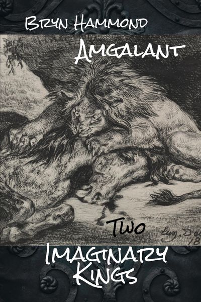 Produktbild: Imaginary Kings (Amgalant, #2)