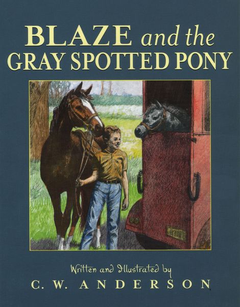 Produktbild: Blaze and the Gray Spotted Pony