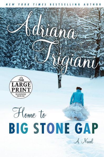 Produktbild: Home to Big Stone Gap