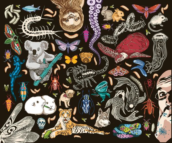 Produktbild: Kat Menschiks und des Diplom-Biologen Doctor Rerum Medicinalium Mark Beneckes Illustrirtes Thierleben