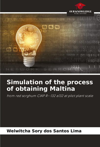 Produktbild: Simulation of the process of obtaining Maltina