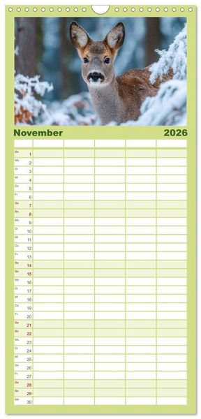 Produktbild: Familienplaner 2026 - HIRSCHE UND REHE - Ein Jahr in freier Wildbahn mit 5 Spalten (Wandkalender, 21 x 45 cm) CALVENDO