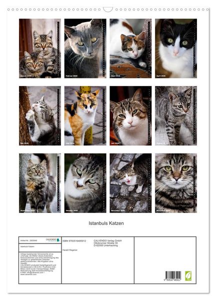 Produktbild: Istanbuls Katzen (Wandkalender 2026 DIN A2 hoch), CALVENDO Monatskalender