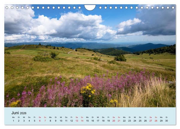 Produktbild: Elsass- und Vogesentr&auml;ume (Wandkalender 2026 DIN A4 quer), CALVENDO Monatskalender