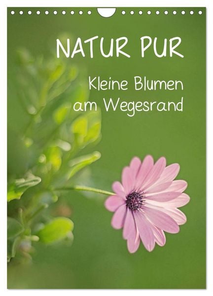 Produktbild: NATUR PUR Kleine Blumen am Wegesrand (Wandkalender 2026 DIN A4 hoch), CALVENDO Monatskalender
