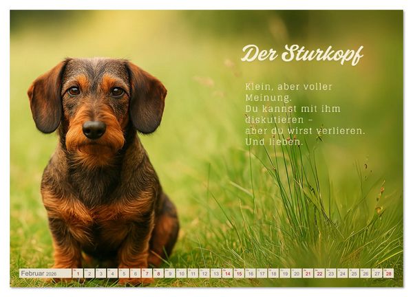 Produktbild: Hunde mit Charakter (Wandkalender 2026 DIN A4 quer), CALVENDO Monatskalender