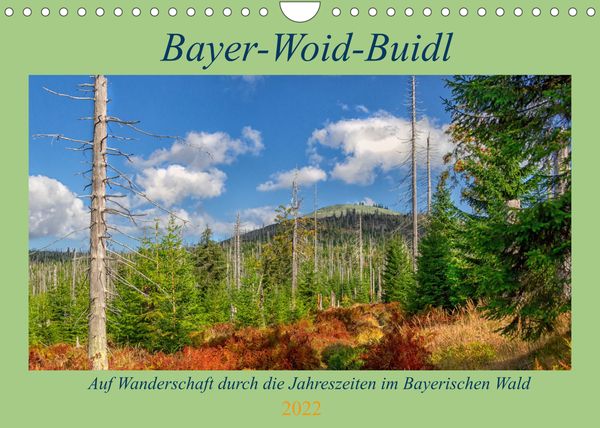 Produktbild: Bayer-Woid-Buidl (Wandkalender 2022 DIN A4 quer)