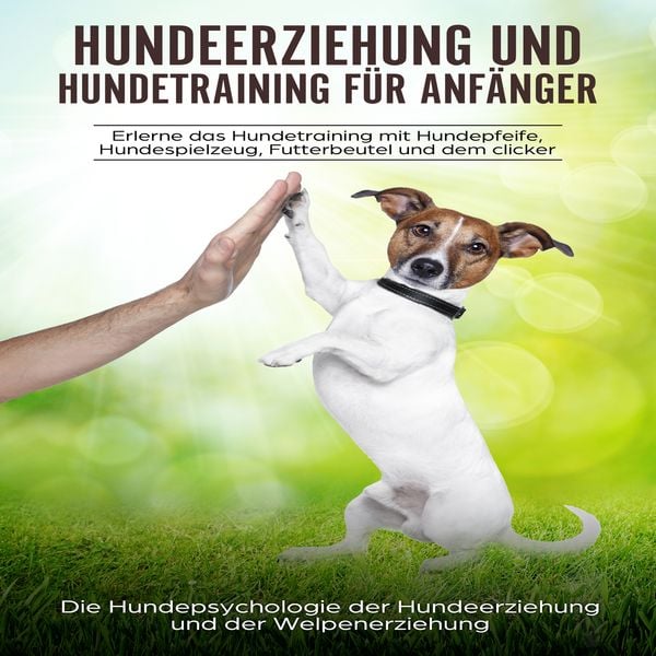 Hundeerziehung und Hundetraining für Anfänger