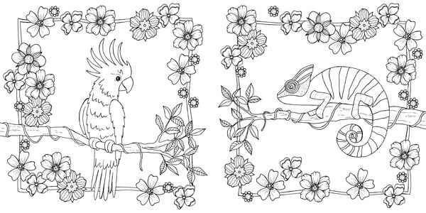 Produktbild: Tropical Flowers &ndash; Exotische Blumen- und Pflanzen-Motive ausmalen
